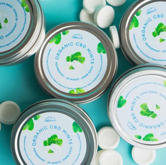 CBDNorth Organic Peppermint CBD Mints tin container 400mg total – buy CBD mints Canada