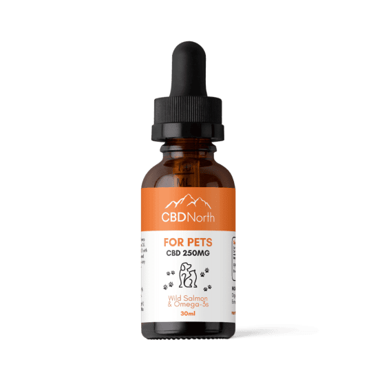 CBDNorth 250mg CBD Oil for Cats with Wild Alaskan Salmon Oil and Omega 3s 30ml – buy CBD oil for cats Canada