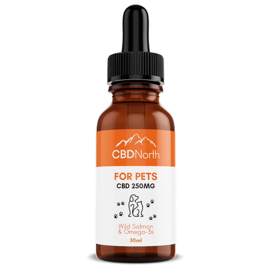 cat cbd oil