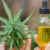 CBD oil near me