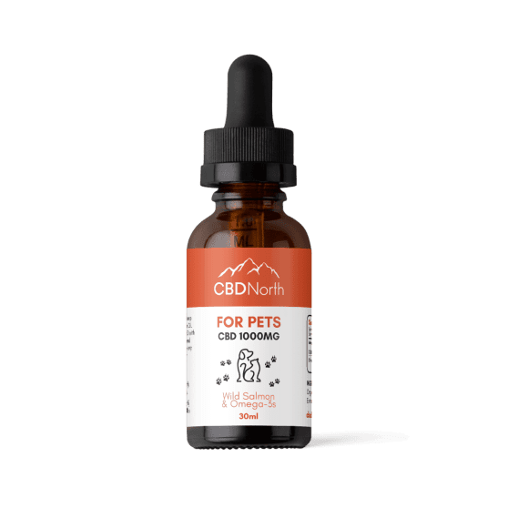 buy cbd oil for dogs